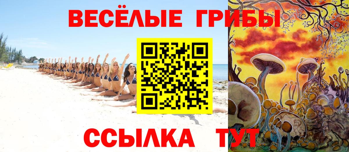 Псилоцибиновые грибы мухоморы Тимашёвск